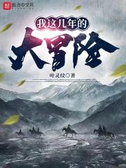 我这几年的大冒险 我这几年的大冒险