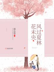 风过夏林花未央 风过夏林花未央