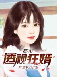都市透视狂婿 都市透视狂婿