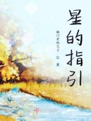 星的指引 星的指引