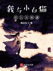 我与小白猫的五次相遇 我与小白猫的五次相遇