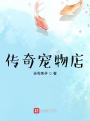 传奇宠物店 传奇宠物店