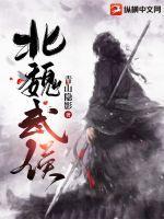 北魏武侯 北魏武侯