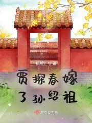 贾探春嫁了孙绍祖 贾探春嫁了孙绍祖