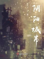 阴阳城市 阴阳城市
