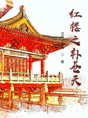 红楼之补苍天 红楼之补苍天