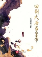 回到大唐当皇帝 回到大唐当皇帝