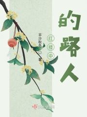 红楼中的路人 红楼中的路人