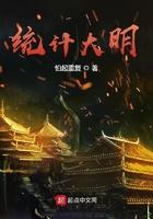 统计大明 统计大明