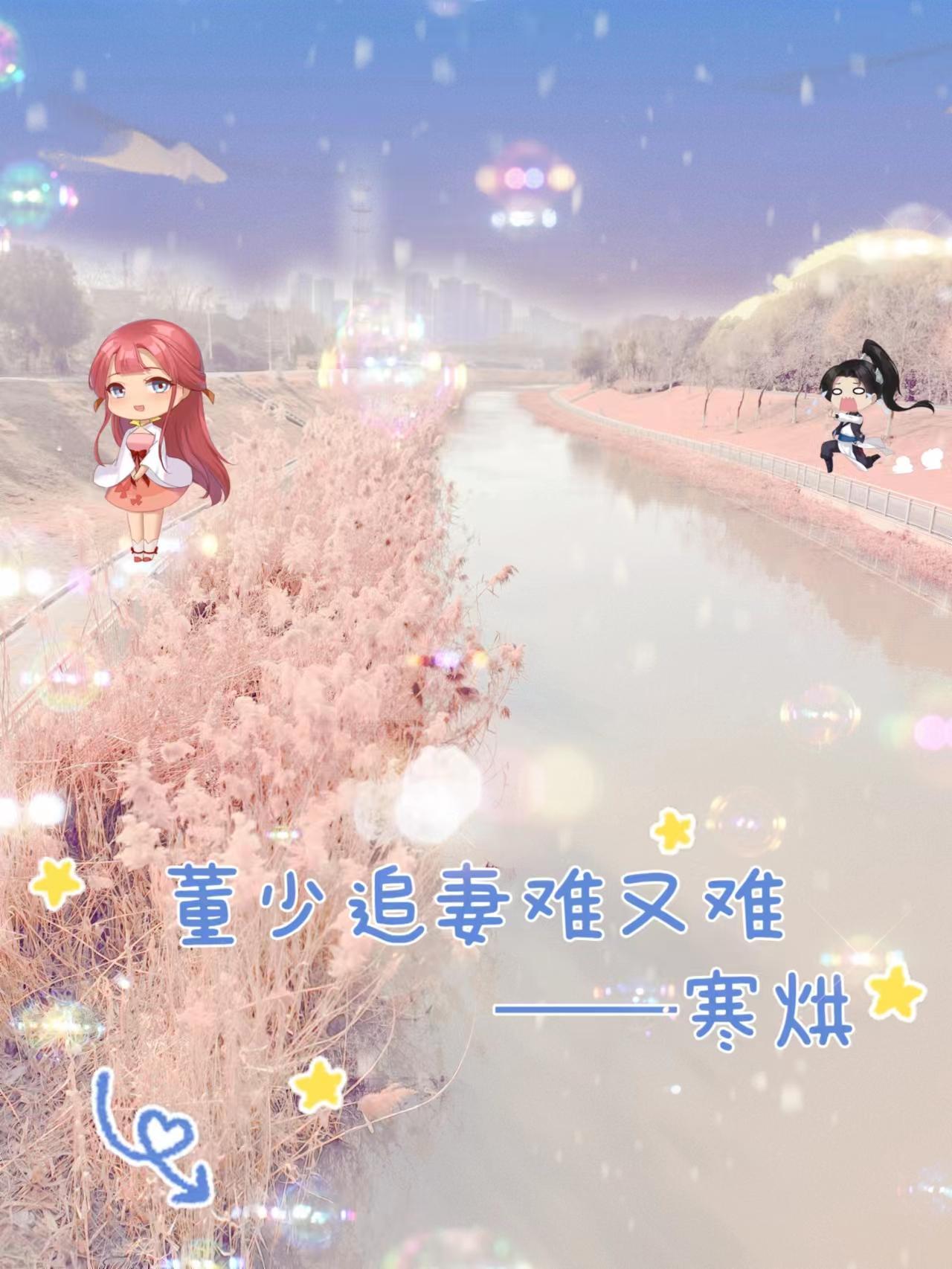 董少追妻难又难 董少追妻难又难