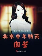 北京中年精英图鉴 北京中年精英图鉴