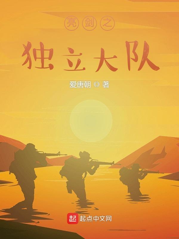 亮剑之独立大队 亮剑之独立大队