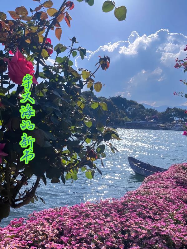 宇文海 宇文海