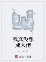 我真没想成大佬 我真没想成大佬