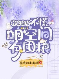 抄家流放?不慌,咱空间有囤粮 抄家流放?不慌,咱空间有囤粮