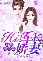 总裁深度宠:Hi!小娇妻 总裁深度宠:Hi!小娇妻