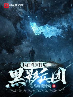 我在斗罗打造黑影兵团 我在斗罗打造黑影兵团