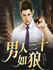 男人三十如狼 男人三十如狼