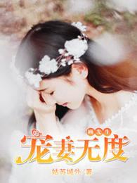 顾先生,宠妻无度 顾先生,宠妻无度
