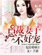 危险婚姻1总裁妻子不好哄 危险婚姻1总裁妻子不好哄