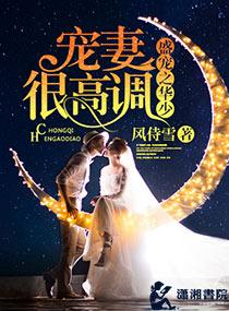 盛宠之华少宠妻很高调 盛宠之华少宠妻很高调