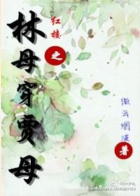 红楼之林母穿贾母 红楼之林母穿贾母