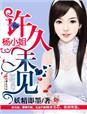 杨小姐,许久未见 杨小姐,许久未见