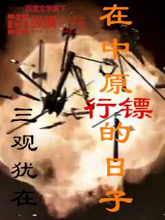 在中原行镖的日子 在中原行镖的日子