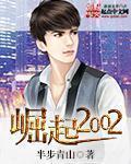 崛起2002 崛起2002