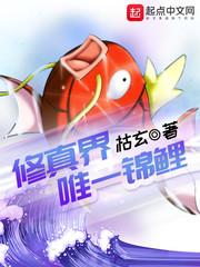 修真界唯一锦鲤 修真界唯一锦鲤