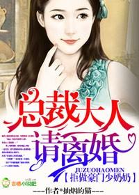 拒做豪门少奶奶,总裁大人请离婚 拒做豪门少奶奶,总裁大人请离婚