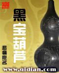 黑宝葫芦 黑宝葫芦
