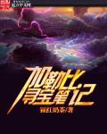 加勒比寻宝笔记 加勒比寻宝笔记
