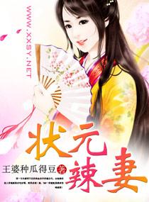 状元辣妻 状元辣妻