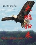 大鹏归来 大鹏归来