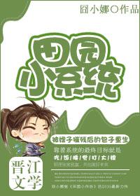 田园小系统 田园小系统