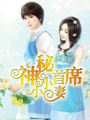 神秘首席小小妻 神秘首席小小妻