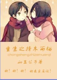 重生之择木而栖 重生之择木而栖