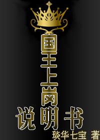 国王上岗说明书 国王上岗说明书