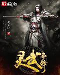 灵武争锋 灵武争锋