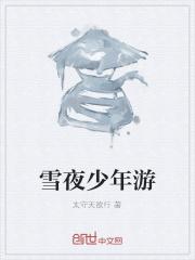 雪夜少年游 雪夜少年游