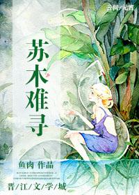 苏木难寻 苏木难寻