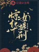 惊华女提刑 惊华女提刑