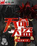 天命大盗 天命大盗