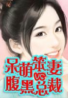 呆萌小笨妻VS腹黑大总裁 呆萌小笨妻VS腹黑大总裁