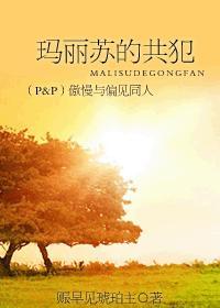 (Pamp;P)玛丽苏的共犯—傲慢与偏见同人 (Pamp;P)玛丽苏的共犯—傲慢与偏见同人