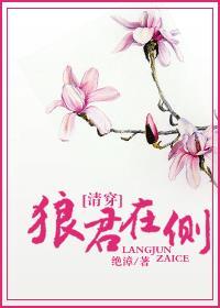 狼君在侧(清穿) 狼君在侧(清穿)