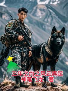 三年之约之风云再起 三年之约之风云再起