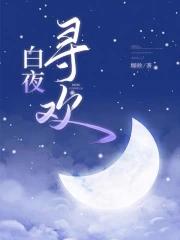 白夜寻欢 白夜寻欢