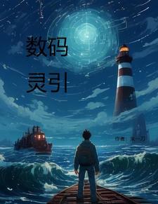 数码灵引 数码灵引